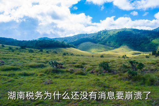 湖南稅務為什么還沒有消息要崩潰了