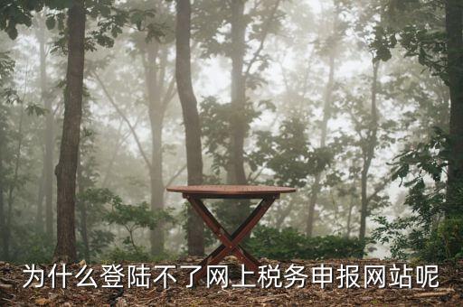 申報個稅登錄不上去是什么原因，為什么我的個人所得稅總是登不上去