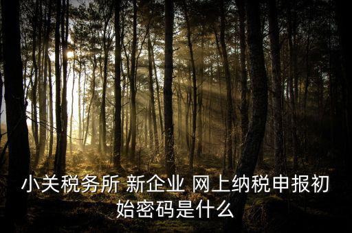 深圳國稅微信預(yù)約密碼是什么意思，小關(guān)稅務(wù)所 新企業(yè) 網(wǎng)上納稅申報(bào)初始密碼是什么