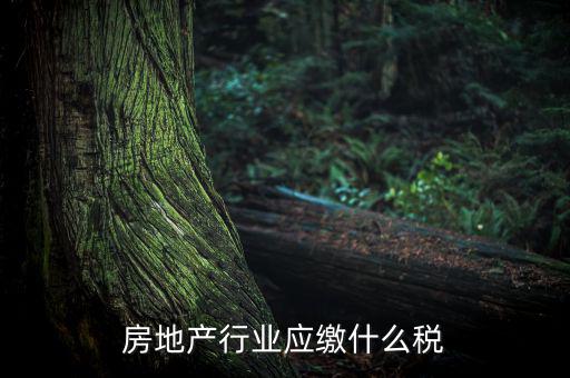 房地產(chǎn)企業(yè)要交什么稅，房地產(chǎn)行業(yè)應(yīng)繳什么稅