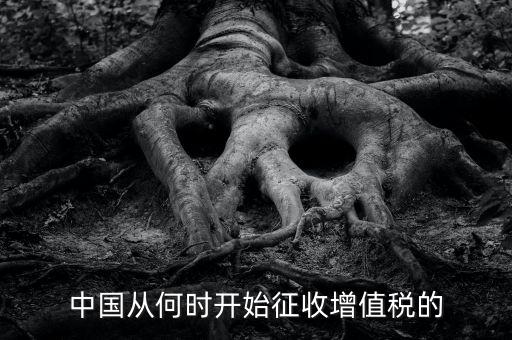 什么時(shí)候征收增值稅，批發(fā)零售業(yè)增值稅征收率什么時(shí)間開始為3