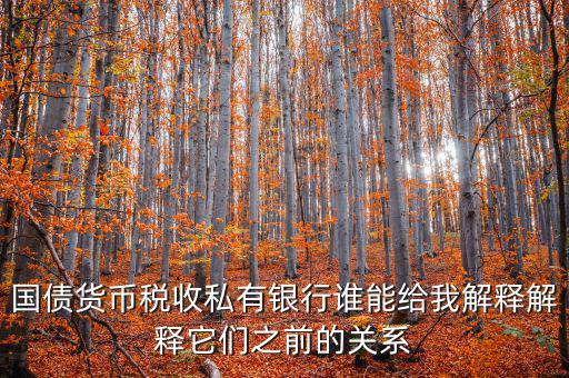 國(guó)債貨幣稅收私有銀行誰能給我解釋解釋它們之前的關(guān)系