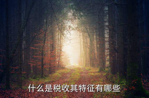稅收的特點(diǎn)是什么意思，稅收的實(shí)質(zhì)和特征