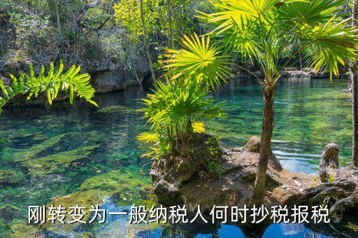 什么時候抄報稅，什么時候去國稅局抄稅