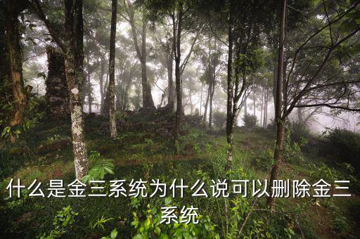 國(guó)稅金三系統(tǒng)是什么，什么是金三系統(tǒng)為什么說(shuō)可以刪除金三系統(tǒng)