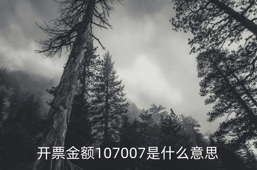 開票金額是什么意思，增值稅專用發(fā)票的各項(xiàng)金額分別是什么含義
