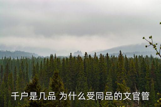 什么千戶集團(tuán)，千戶是什么意思