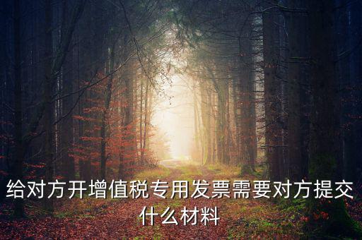 開專票要什么資料，加油卡開增值稅專用發(fā)票需要什么資料