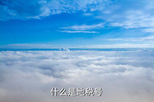稅務(wù)賬號(hào)是什么，什么是地稅號(hào)