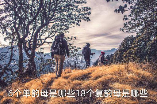 便民辦稅六個(gè)環(huán)節(jié)是什么，數(shù)物體的個(gè)數(shù)時(shí)數(shù)出6個(gè)數(shù)到第6個(gè)第7個(gè)是什么