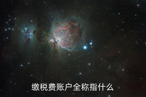 納稅賬戶是什么，我們公司申請的一個(gè)專門用來繳納稅款的賬戶是什么賬戶