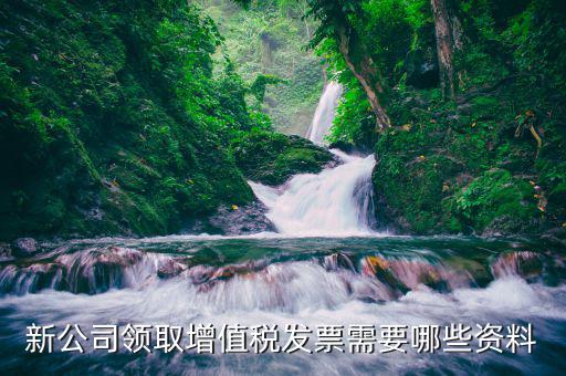 領(lǐng)發(fā)票需要什么，去稅務(wù)局領(lǐng)發(fā)票需要帶什么資料去