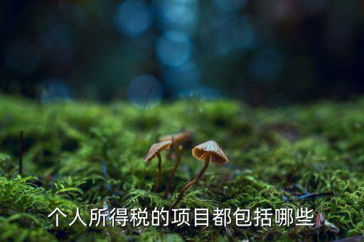 所得項(xiàng)目填什么，個人所得稅必須要填寫六項(xiàng)嗎我沒一項(xiàng)符合