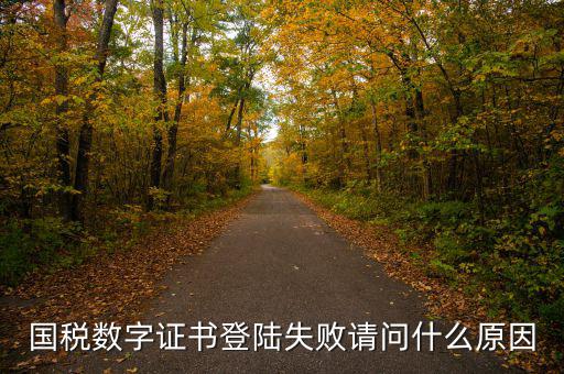 國(guó)稅數(shù)字證書登陸失敗請(qǐng)問什么原因