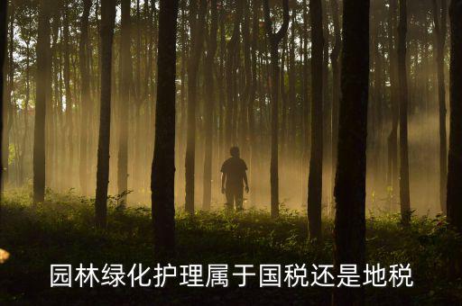綠化養(yǎng)護屬于什么稅種，園林綠化護理屬于國稅還是地稅