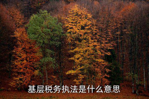 稅務執(zhí)行是什么意思，compliance costs 是什么意思
