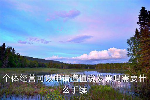 個(gè)體打印發(fā)票需要什么資料，開(kāi)個(gè)人增值稅發(fā)票需要什么資料