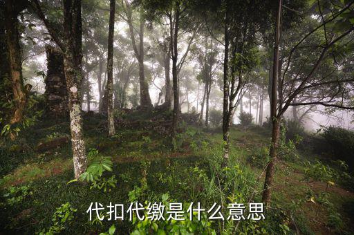 稅務(wù)代收什么意思，代扣代繳是什么意思