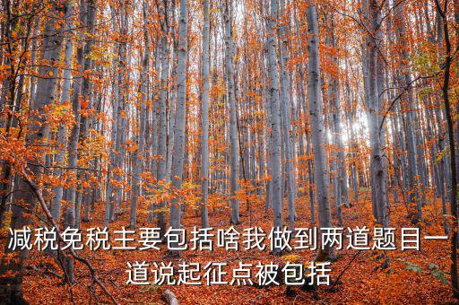 什么是減稅免稅，什么是稅收法定減免
