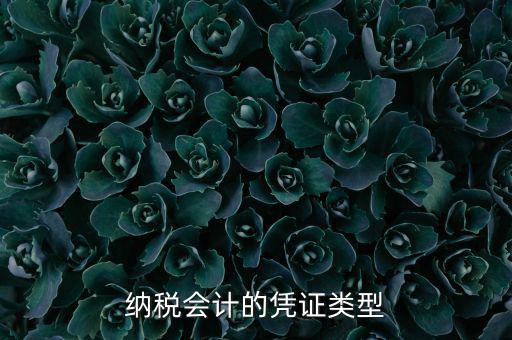 應(yīng)納稅憑證種類是什么，憑證種類999是什么