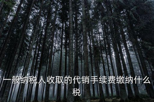 代理服務(wù)費(fèi)交什么稅，一般納稅人收取的代銷手續(xù)費(fèi)繳納什么稅