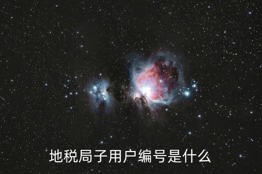 河北地稅的登錄賬號是什么，地稅局網(wǎng)上申報 用戶名用戶名是什么啊
