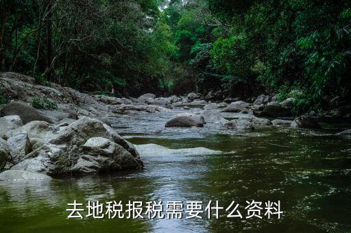 報地稅所需要什么條件，地稅報稅需要什么資料
