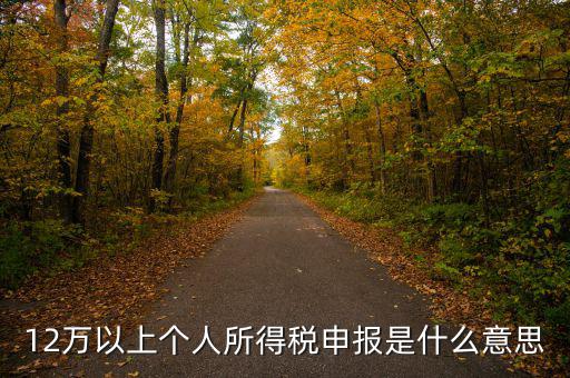 申報個稅什么意思，個稅明細申報是指什么