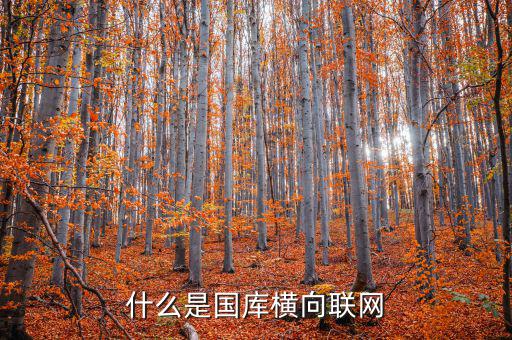 財(cái)稅庫(kù)關(guān)行橫向聯(lián)網(wǎng)系統(tǒng)是什么，什么是國(guó)庫(kù)橫向聯(lián)網(wǎng)