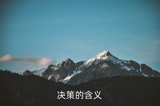 決策一包什么意思，決策的含義