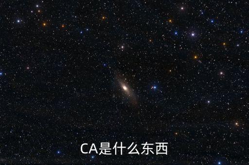 ca中心是什么，CA是什么東西