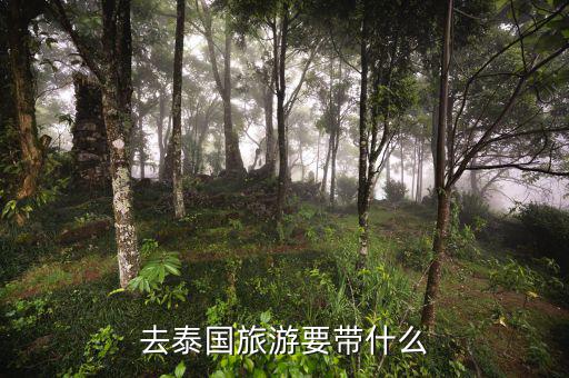 稅務(wù)局的信仰是什么，道德模范有哪些