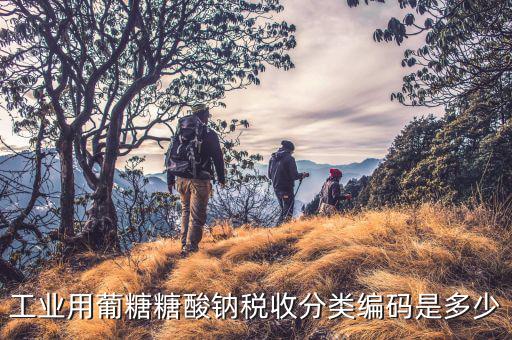 稅收分類編碼選擇錯誤的是什么，家用墻壁開關(guān)在稅收分類編碼里屬于哪類