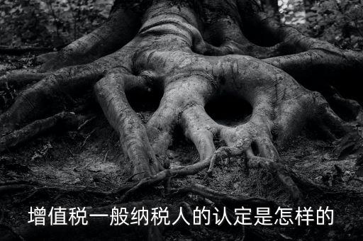 一般納稅人認(rèn)證是什么，一般納稅人資格證什么