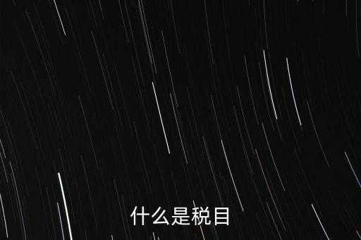 什么是稅法 文化，中華人民共和國(guó)地稅法