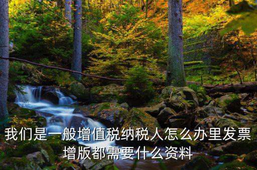 發(fā)票增版申需要什么意思，我們是一般增值稅納稅人怎么辦里發(fā)票增版都需要什么資料