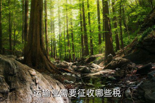 運(yùn)輸公司需要交什么稅，企業(yè)運(yùn)輸扣稅都有哪些稅
