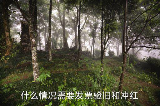 發(fā)什么要發(fā)票驗舊，普通發(fā)票為什么要驗舊購新