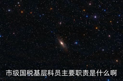 基層國稅辦公室做什么，請問國稅局基層分局科員縣域主要負(fù)責(zé)什么工作