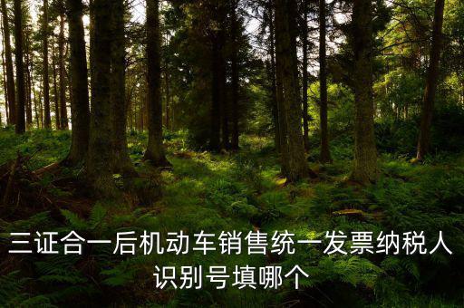 統(tǒng)一納稅識別號是什么，三證合一后機動車銷售統(tǒng)一發(fā)票納稅人識別號填哪個