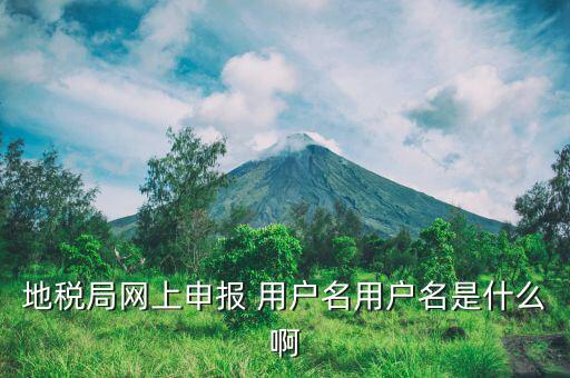 地稅注冊用戶名是什么意思，地稅的用戶名是什么