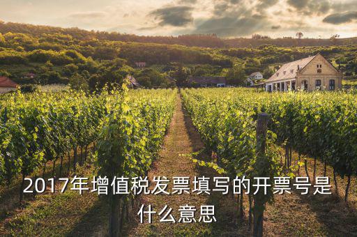 增值稅開票編碼是什么意思，2017年增值稅發(fā)票填寫的開票號是什么意思