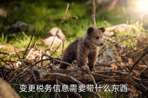稅務(wù)更名需要什么手續(xù)，公司名稱變更以后到稅務(wù)局做變更需要帶什么