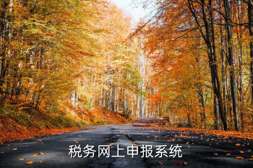 什么是稅收網(wǎng)報(bào)軟件，稅務(wù)網(wǎng)上申報(bào)系統(tǒng)