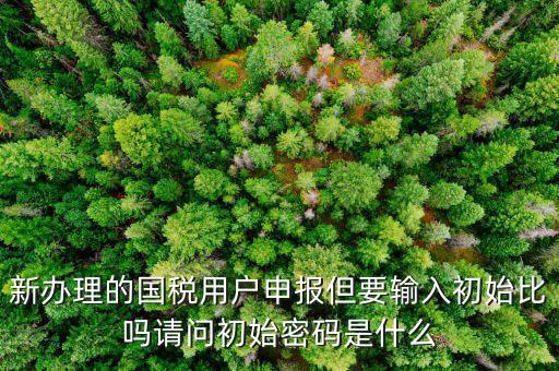 初始申報(bào)密碼是什么，小關(guān)稅務(wù)所 新企業(yè) 網(wǎng)上納稅申報(bào)初始密碼是什么
