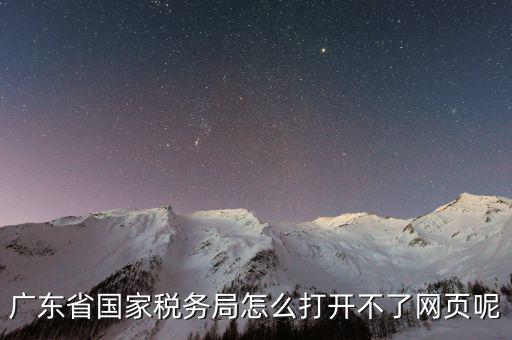 廣東省國(guó)家稅務(wù)局怎么打開(kāi)不了網(wǎng)頁(yè)呢