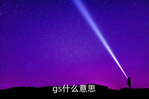 什么是gs系統(tǒng)，gs什么意思