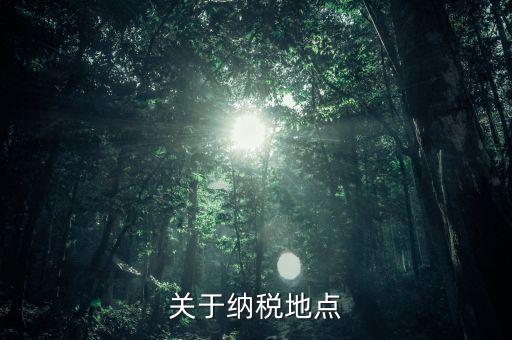 關于納稅地點