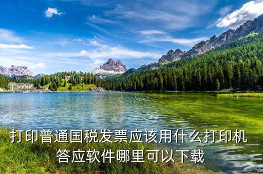 打印普通國稅發(fā)票應該用什么打印機 答應軟件哪里可以下載