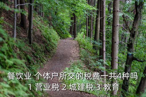 個(gè)體餐飲業(yè)交什么稅，餐飲業(yè) 個(gè)體戶所交的稅費(fèi)一共4種嗎 1 營業(yè)稅 2 城建稅 3 教育